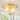 2-Light Modern Flush Mount Ceiling Light Bowl Glass Shade Hallway - Dia.11.81inch