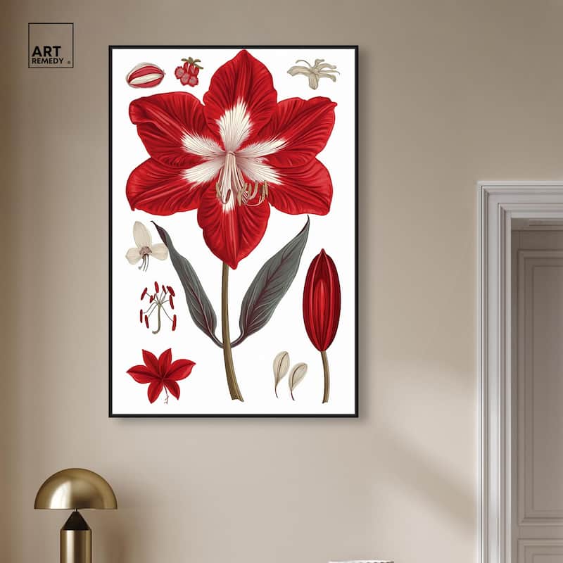 Amaryllis Anatomy Canvas by Art Remedy