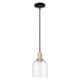 Option Clear / Black Antique Brass
