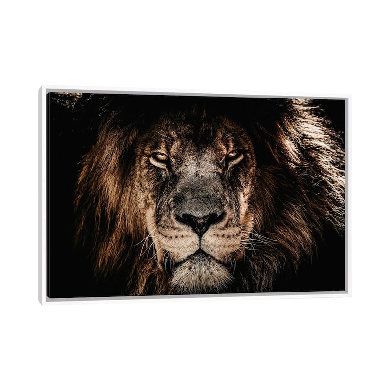 iCanvas "Lion Straight Stare" by Adrian Vieriu Framed - White - 18x26