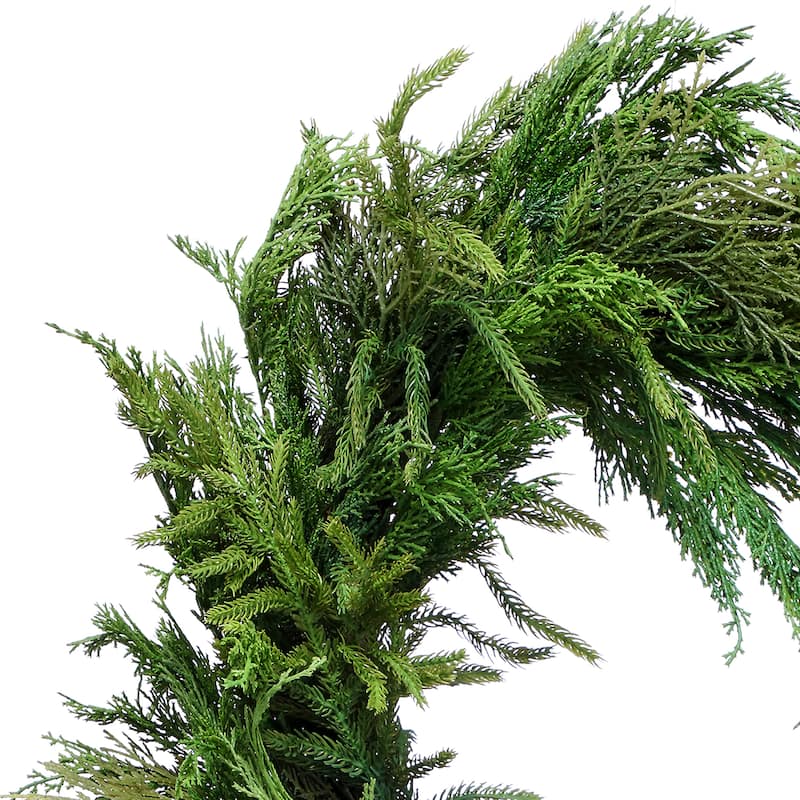 26" Cyprus Norfolk Pine Wreath