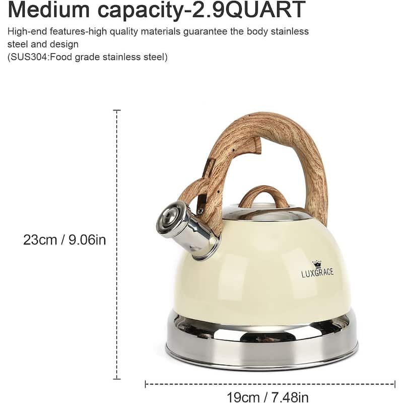 Creative Home 3.0 Qt. Stainless Steel Whistling Tea Kettle with Ergonomic Handle for Fast Boiling Heat Water, Creamy White