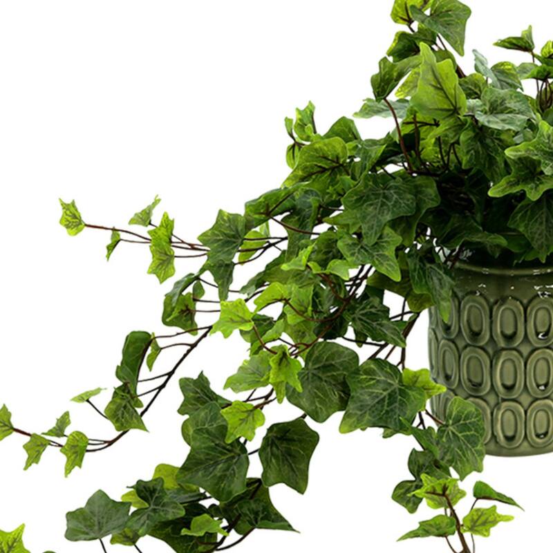 Ivy Arrangement in a Ceramic Pot - Green