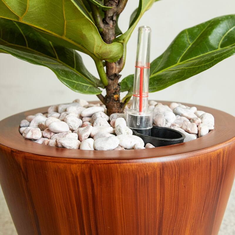 DTY Signature 2-Pack 10 in.Dark Wood Plastic Self-watering Planter Pot