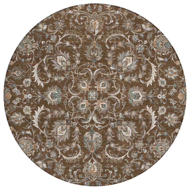 Machine Washable Indoor/ Outdoor Traditional Arvada Chantille Rug