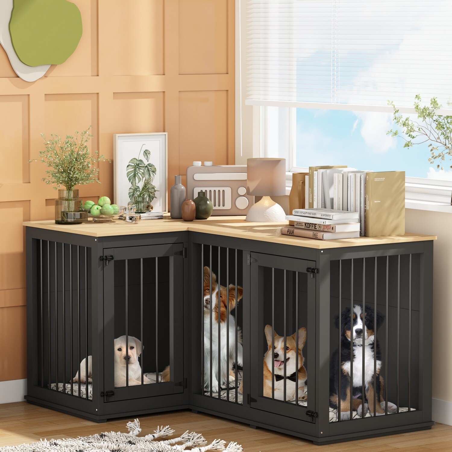 Apartment Living Best Designer Dogs For Apartments Corner Dog