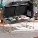 preview thumbnail 10 of 19, Aliana Glam and Luxe Velvet and Gold Metal Large Storage Ottoman