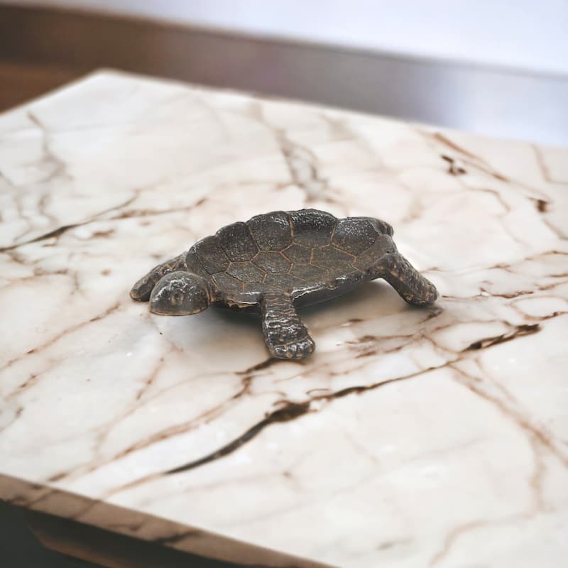 Black Cast Iron Turtle