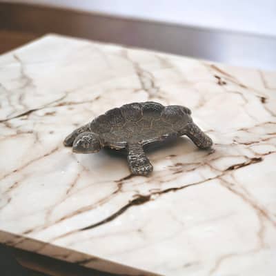 Black Cast Iron Turtle