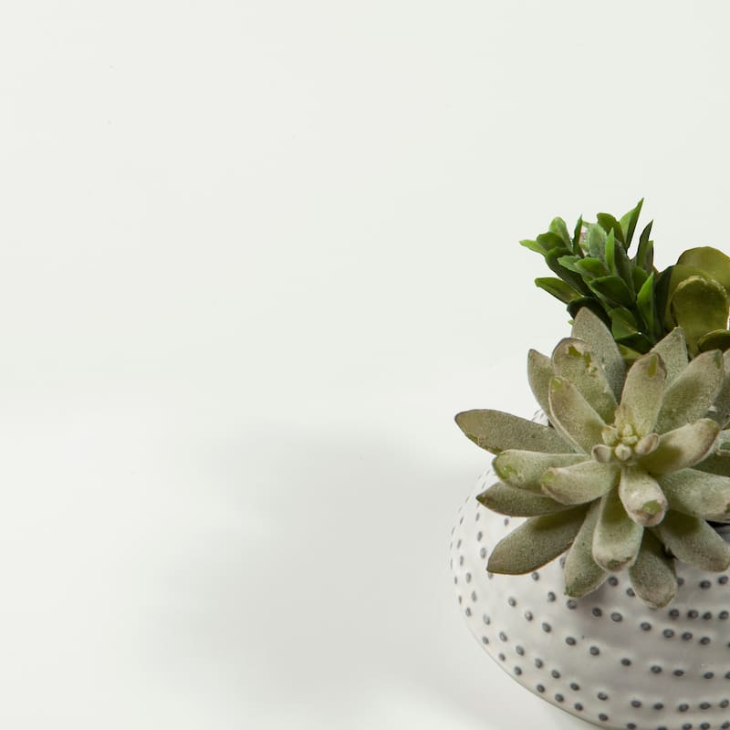 Porch & Den Wren Home Office Writing Desk with 2 Storage Drawers