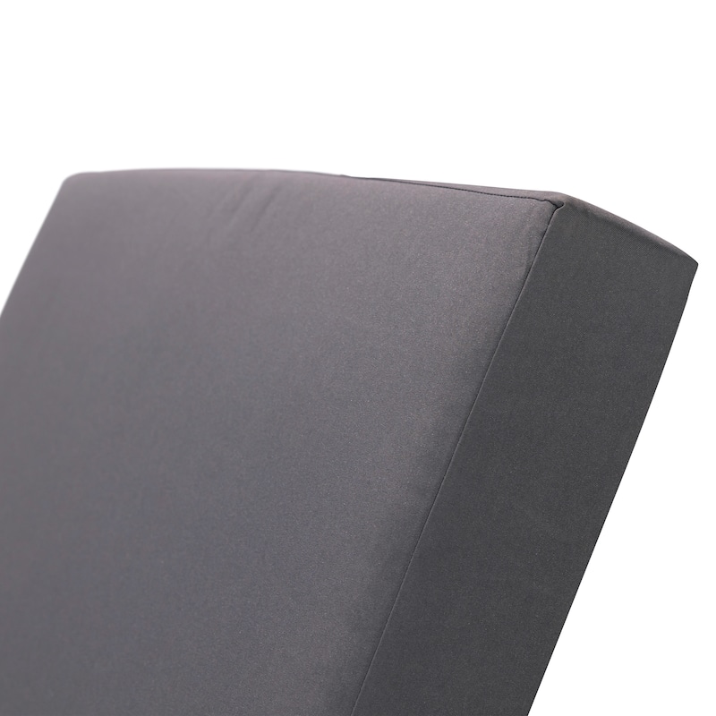 Encino Outdoor Chaise Lounge Cushion (ONLY CUSHION) by Christopher Knight Home - 76.75" L x 27.00" W x 4.00" H