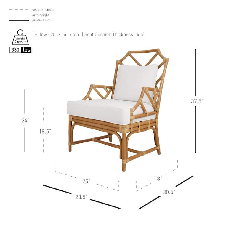 NPD Furniture Kara Rattan Accent Arm Chair