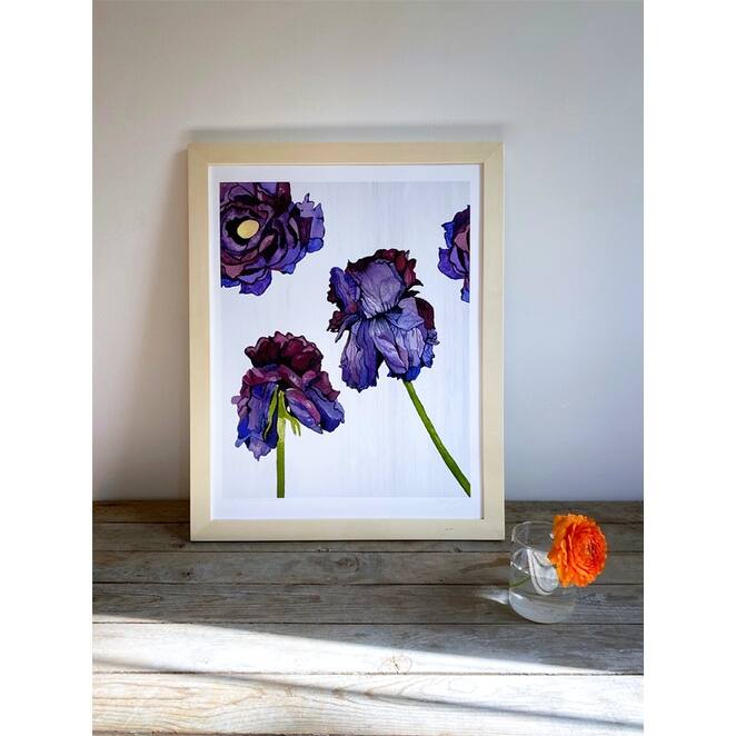 Withering Ranunculus on White Art Print