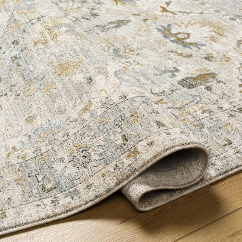 Livabliss Transitional Dresden Medallion Area Rug