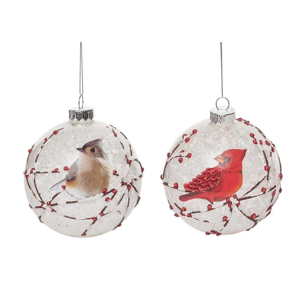 Transpac Glass 4.5 in. Multicolored Christmas Painted Winter Birds Ornament Set of 2