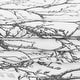 preview thumbnail 76 of 81, Tree Branch Grommet Window Curtain Panel