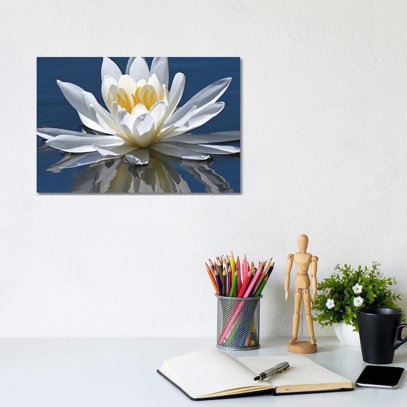 iCanvas "Reflection Of Water Lily" by Brian Wolf Canvas Print - 8x12x0.75