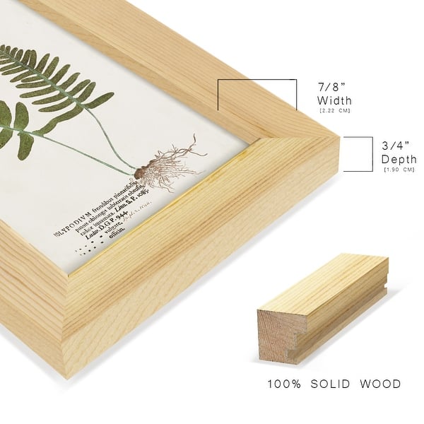 dimension image slide 5 of 21, Nature Printed Ferns IX -Framed Print w/glass-Cherry Red