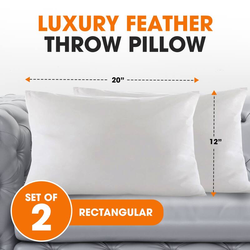 Cheer Collection Feather Down Decorative Square Pillow
