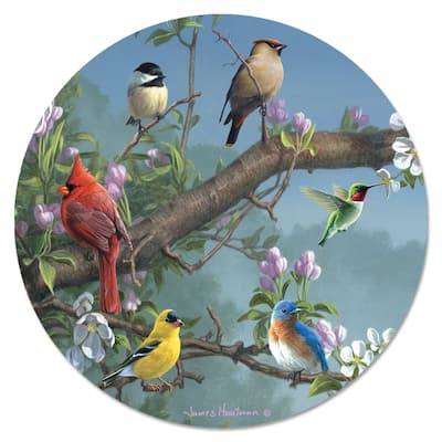 Glass Lazy Susan - Beautiful Songbirds - 13x.027