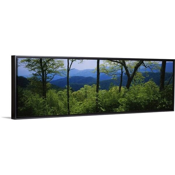 Shop Trees In The Forest With Mountains In The Background Great