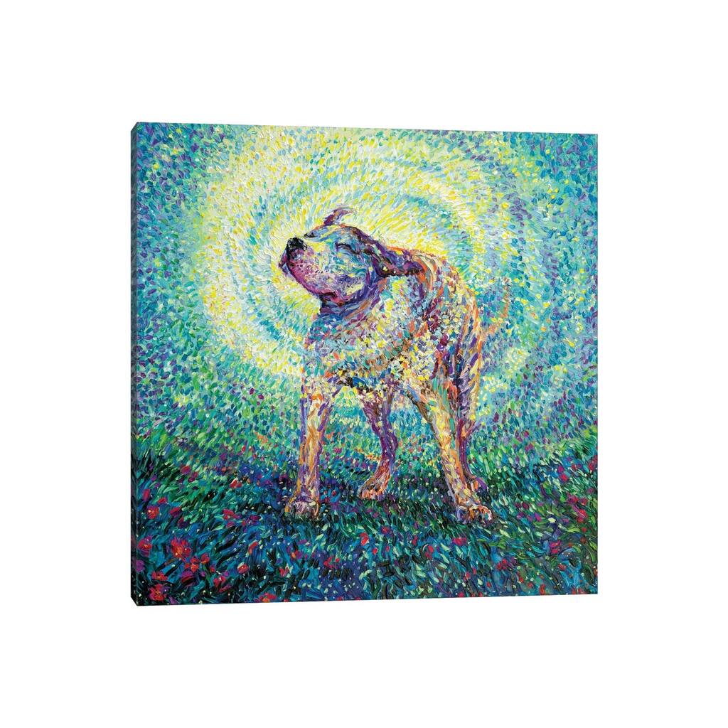 iCanvas "Pitbull Shake" by Iris Scott Canvas Print
