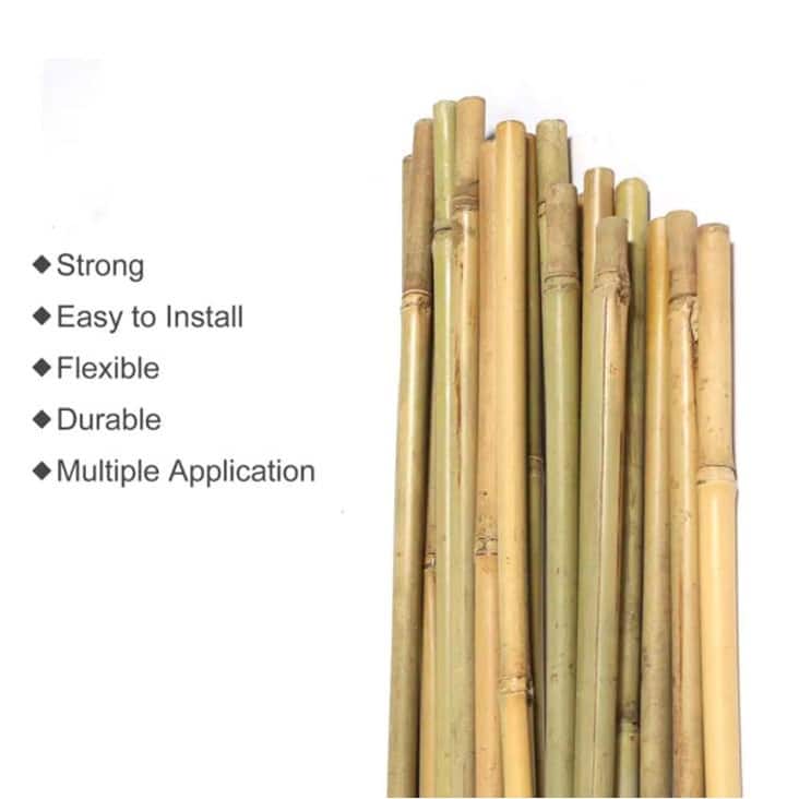 Garden Bamboo Stakes,10-pack