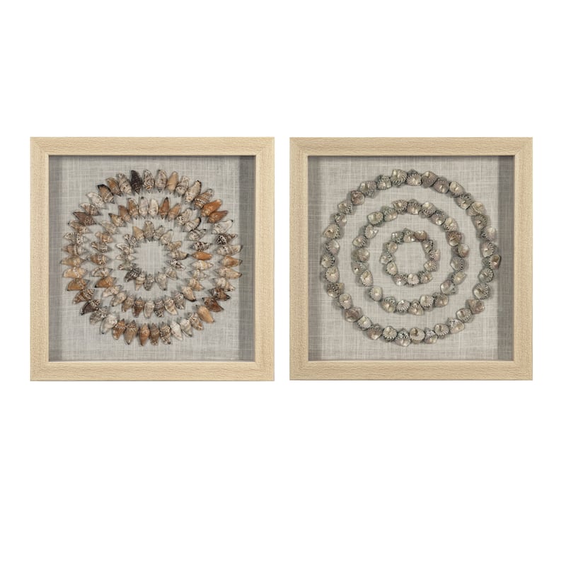 HUJI Sea Shell Rings Shadow Box Wall Décor Set