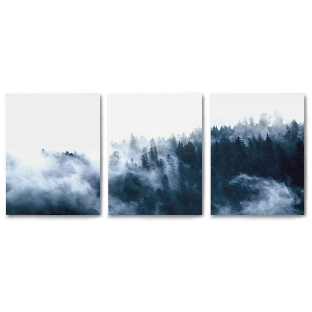 https://ak1.ostkcdn.com/images/products/is/images/direct/6062e30a266db6f464408f1d4e74e306104e9c0f/Triptych-Misty-Mountain-Views-by-Tanya-Shumkina---Set-of-3-Canvas-Prints.jpg