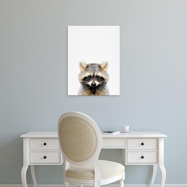 Easy Art Prints Tai Prints's 'Raccoon' Premium Canvas Art