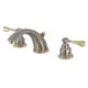 Option Brushed Nickel/Polished Brass