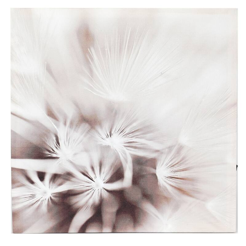 Dandelion Gallery-Wrapped Canvas Prints with Lights (Set of 3)