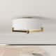 Option Brushed Brass