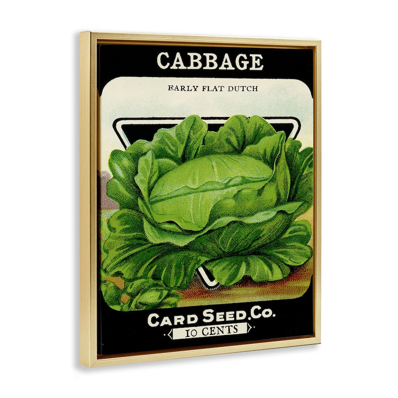 Stupell Vintage Garden Cabbage Framed Floater Canvas Wall Art Design By Lil' Rue