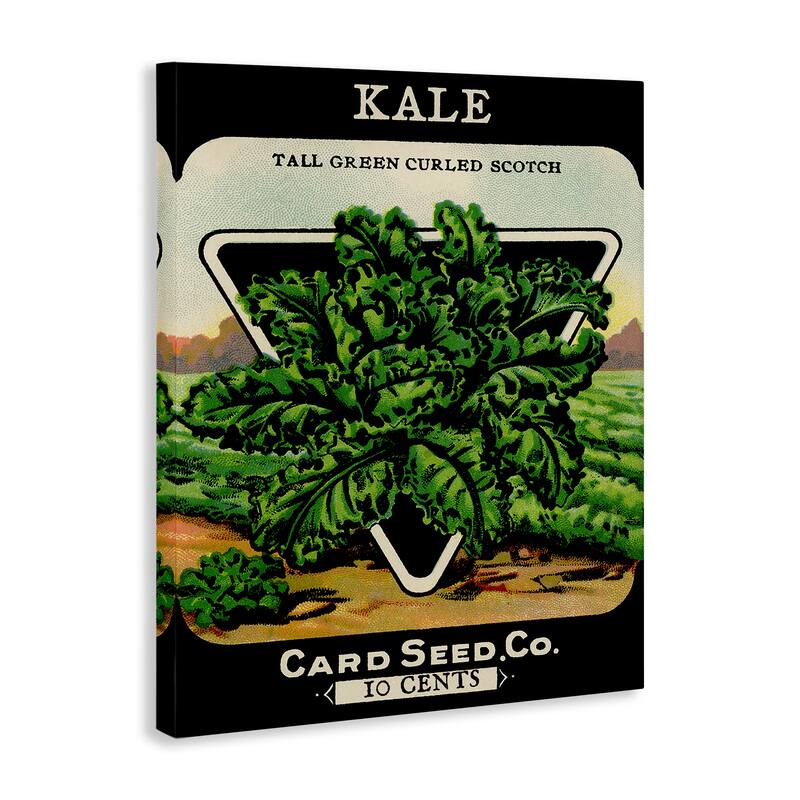 Stupell Vintage Garden Kale Canvas Wall Art Design By Lil' Rue