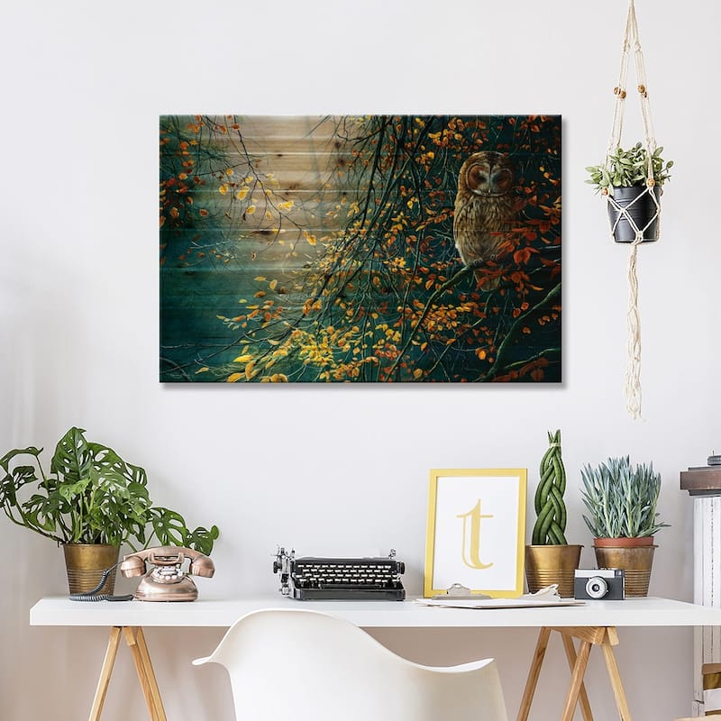 Tawny Owl Print On Wood by Jeremy Paul - Multi-Color