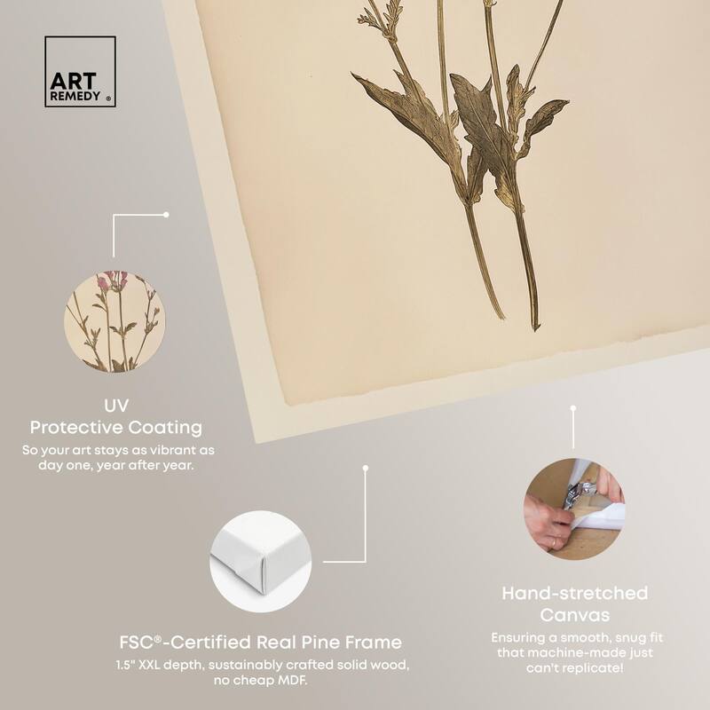 Dried Flower Canvas by Art Remedy, Gallery Wrapped