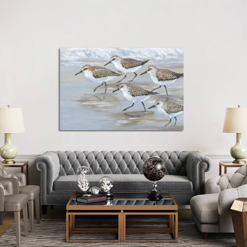 iCanvas "Sandpipers I" by Tim OToole Canvas Print