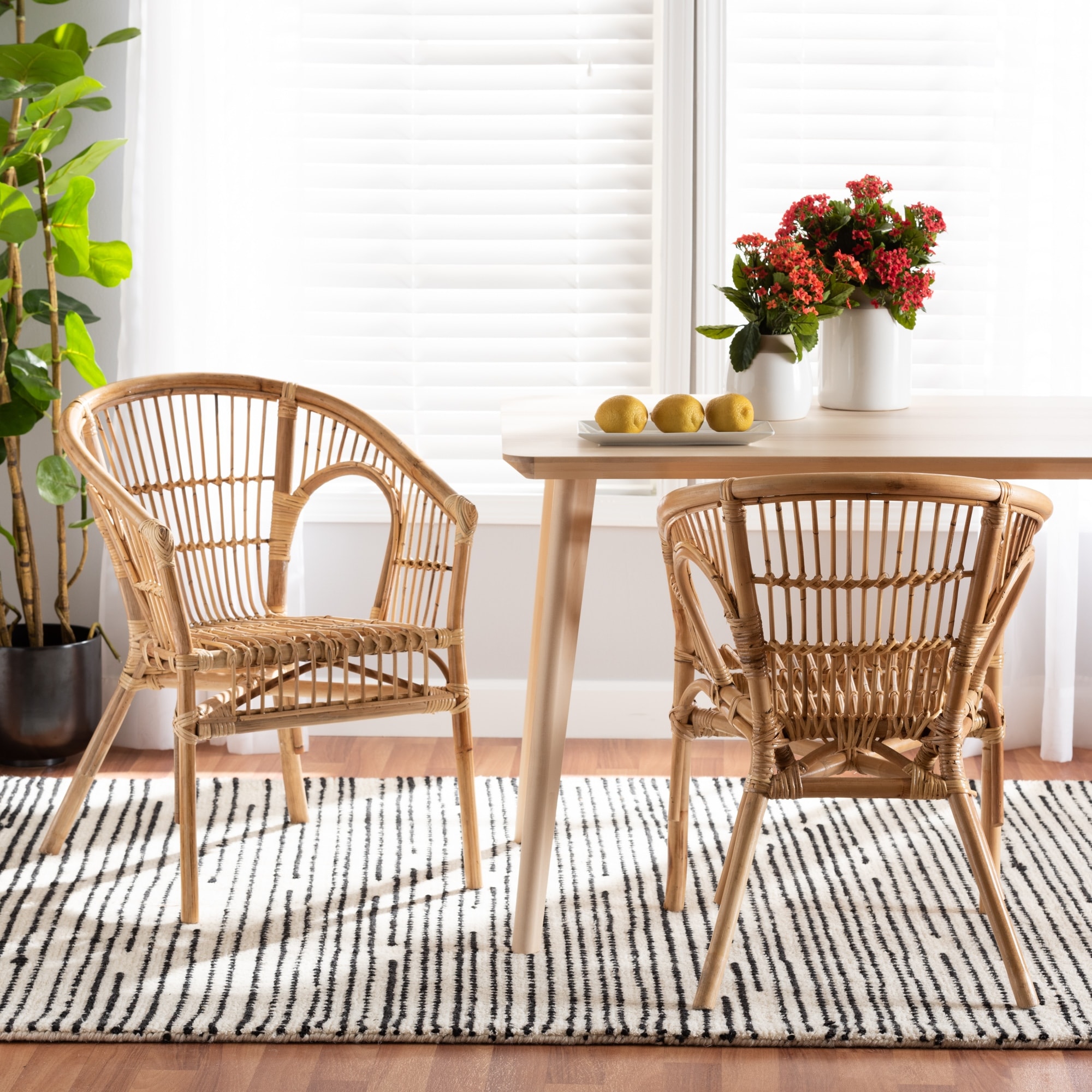 Alleta Modern Bohemian Natural Brown Rattan 2-Piece Dining Chair Set