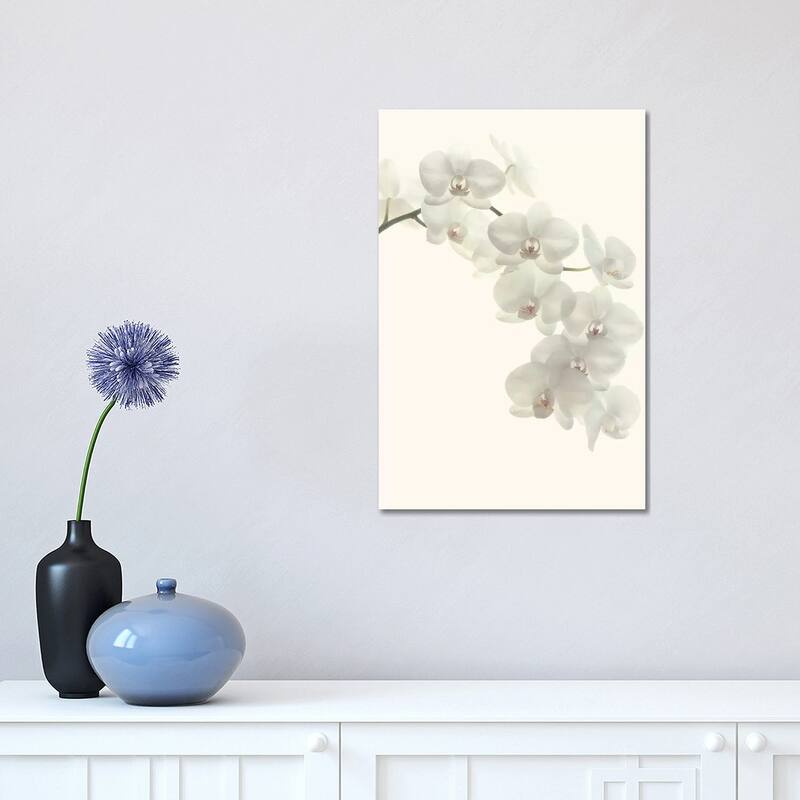 iCanvas "White Orchids" by Alyson Fennell Canvas Print - 18x12x1.5