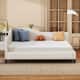 Option Beige