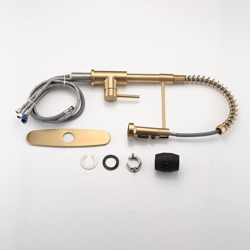 PROOX Single Handle Kitchen Sink Faucet with Pull Out Sprayer