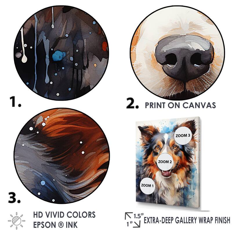 Designart "Border Collie Brilliance " Dog Wall Art