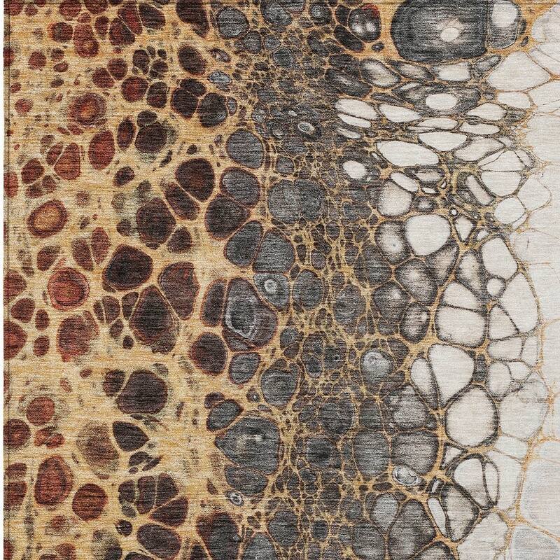 HomeRoots Abstract Transitional Rectangle Outdoor Rug