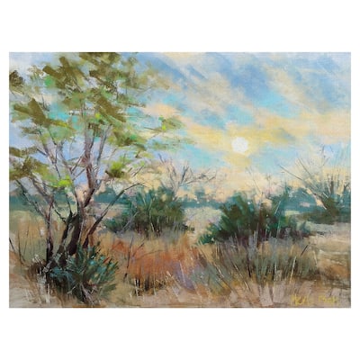 Texas Sunrise by Nancie King Mertz Canvas Art Print