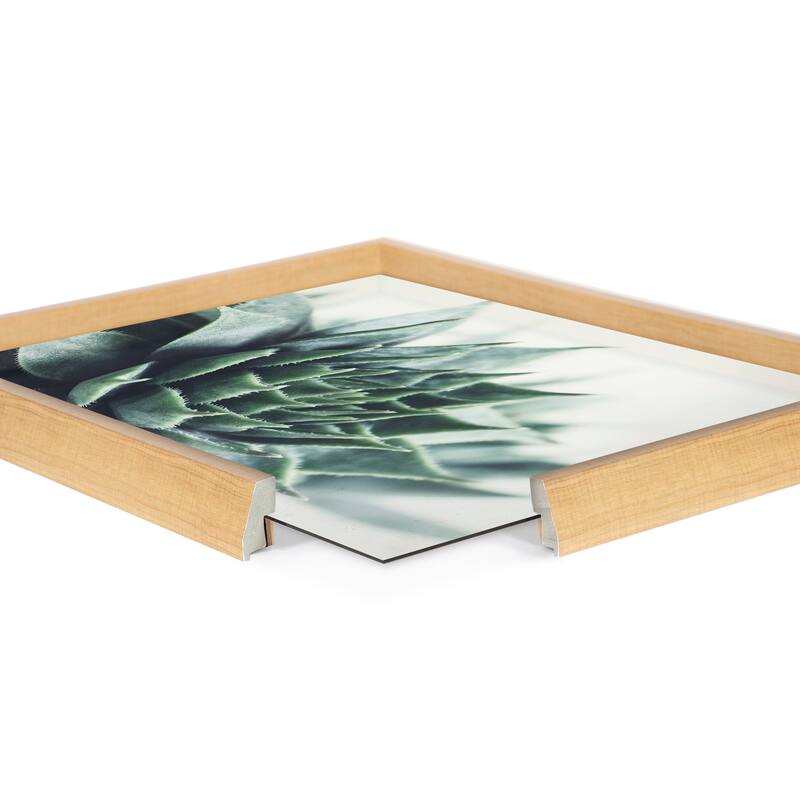 Kate and Laurel Blake Radical Succulent Framed Printed Glass by Emiko and Mark Franzen of F2Images