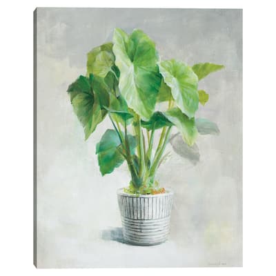 Greenhouse Palm I Crop by Danhui Nai Canvas Art Print