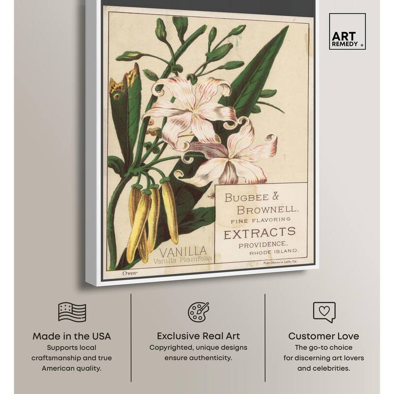 Vanilla Planifolia Canvas by Art Remedy
