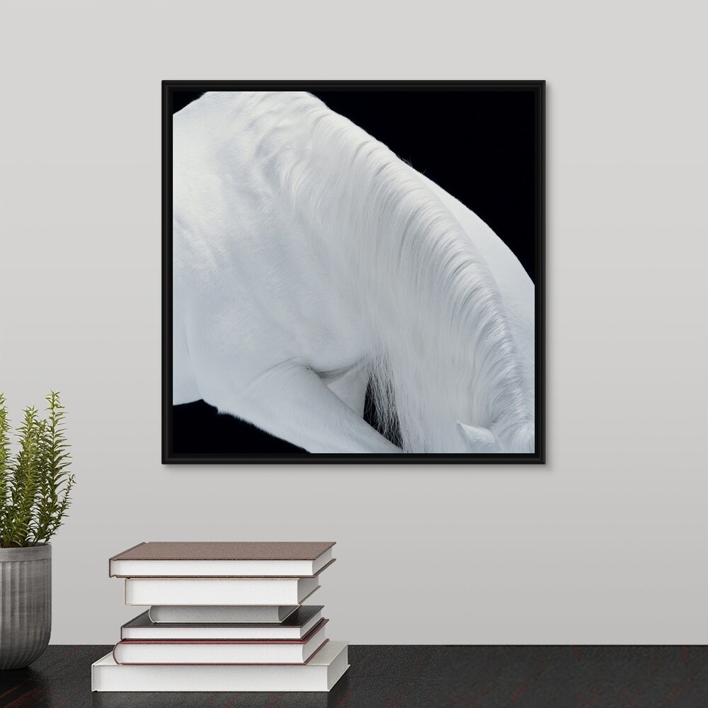 Shop White Arabian Horse Head Down Close Up Black Float Frame
