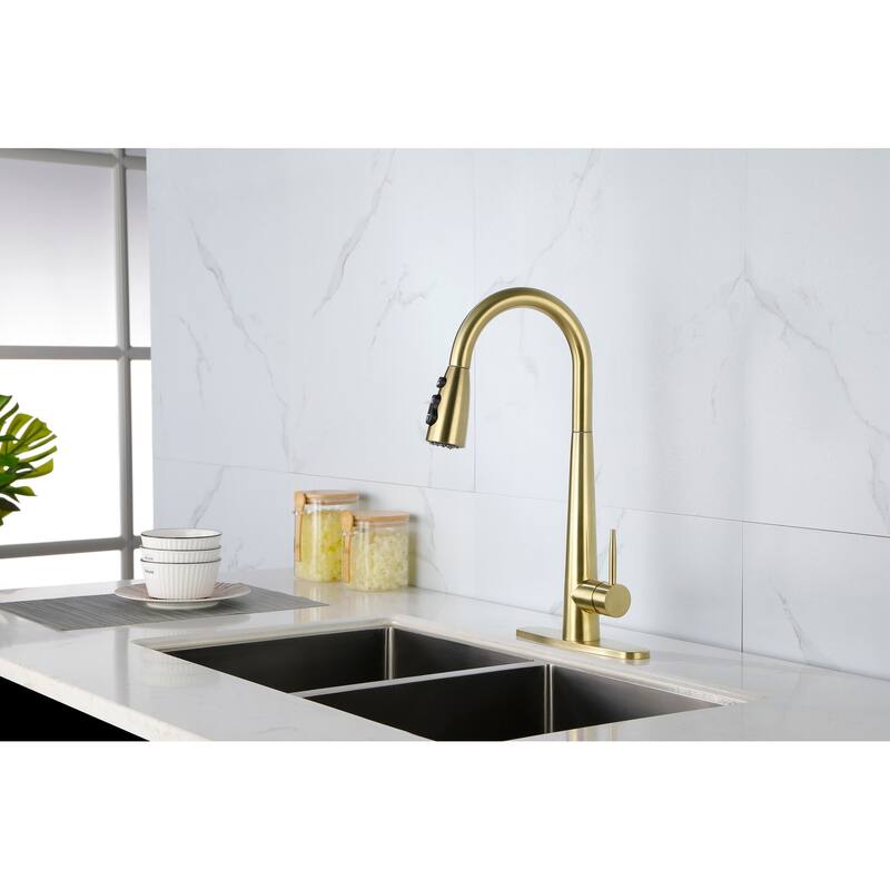 Single Handle Kitchen Sink Faucet with Pull Down Sprayer